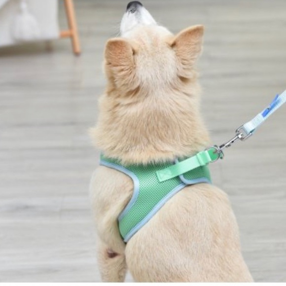 Dog VEST - Step-in DOG Harness - Unisex light GREEN AND Blue.  Breathable mesh - Picture 8 of 9